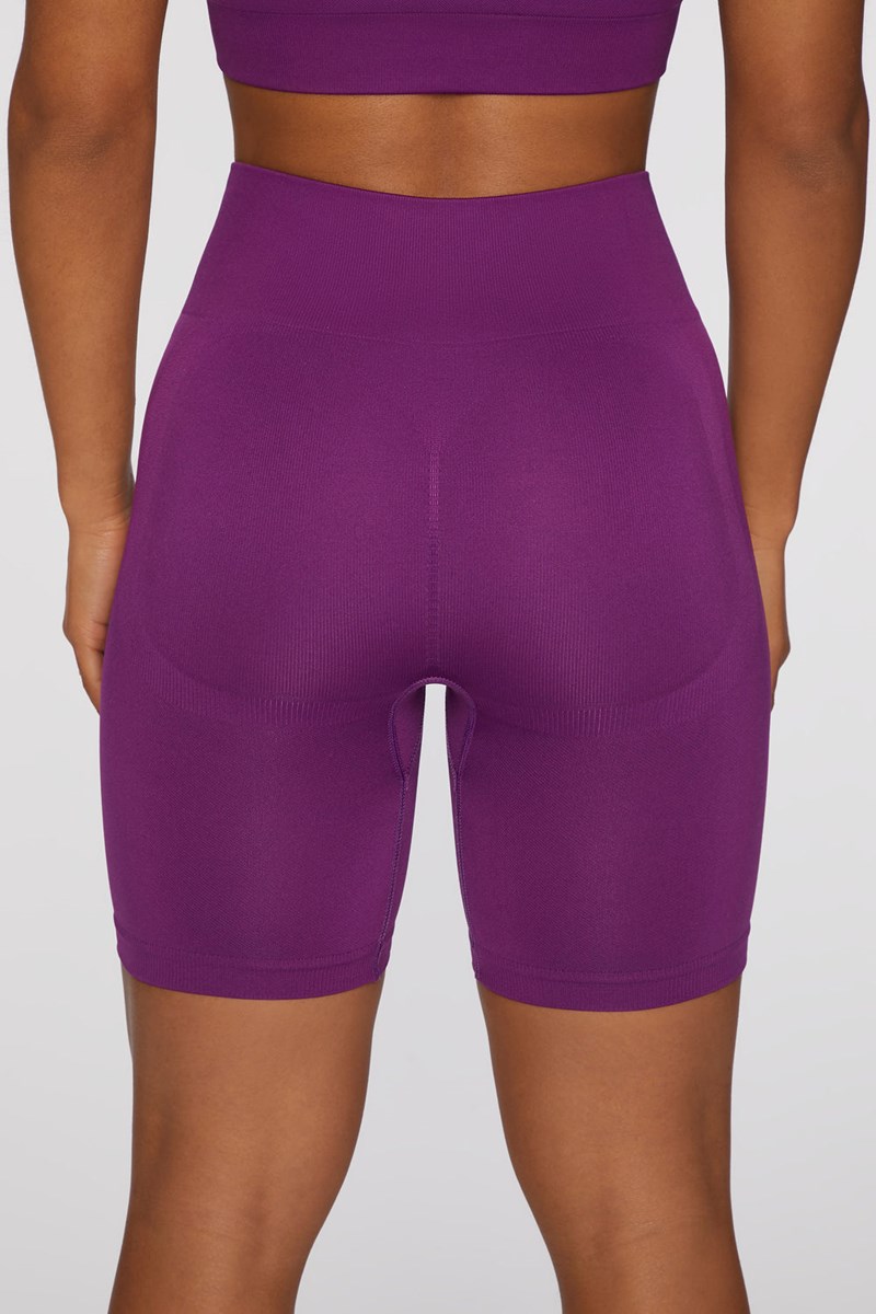 Bo+Tee Push Yourself Seamless High Waisted Ciclismo Shorts Moradas Oscuro | BNDZ10963