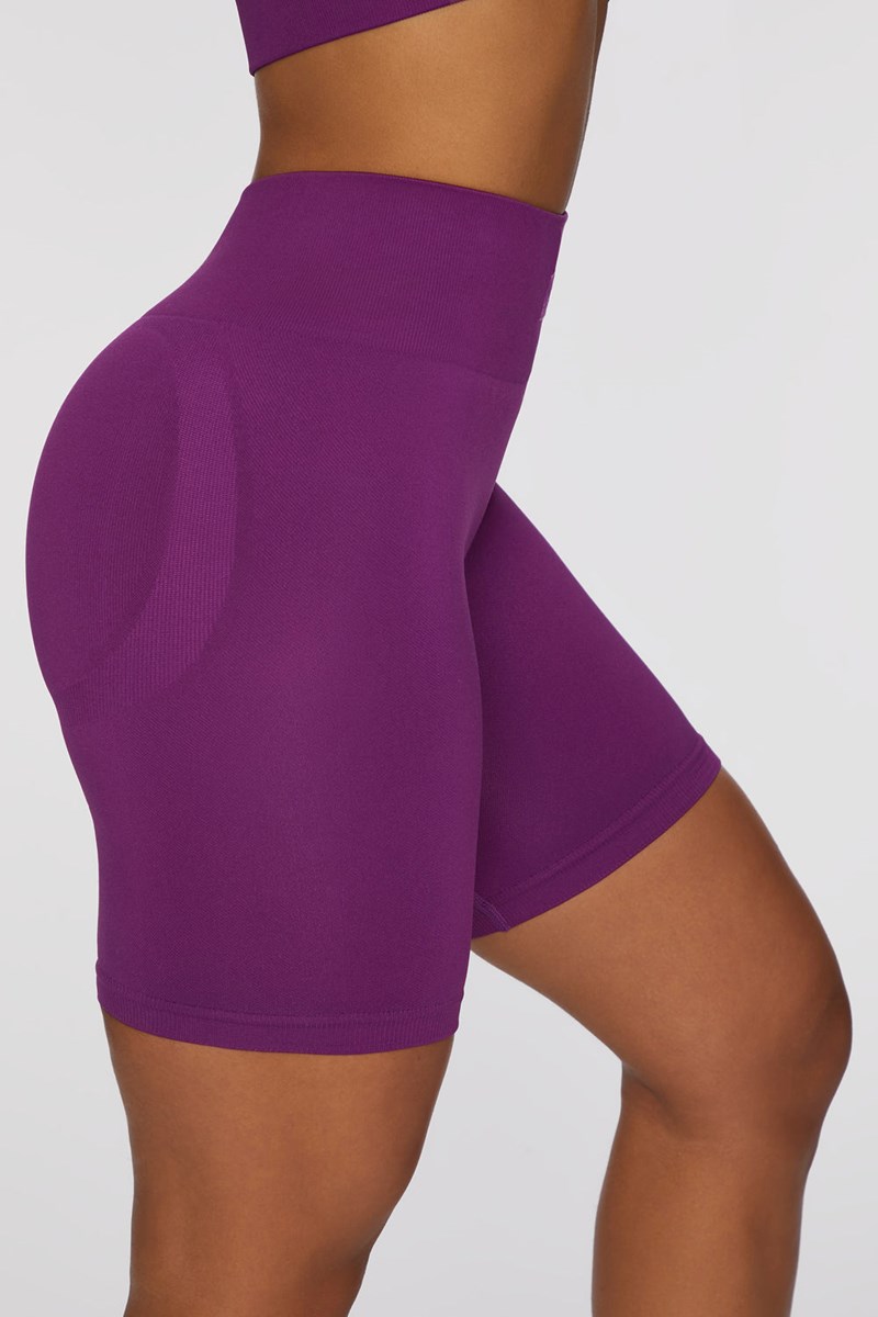 Bo+Tee Push Yourself Seamless High Waisted Ciclismo Shorts Moradas Oscuro | BNDZ10963