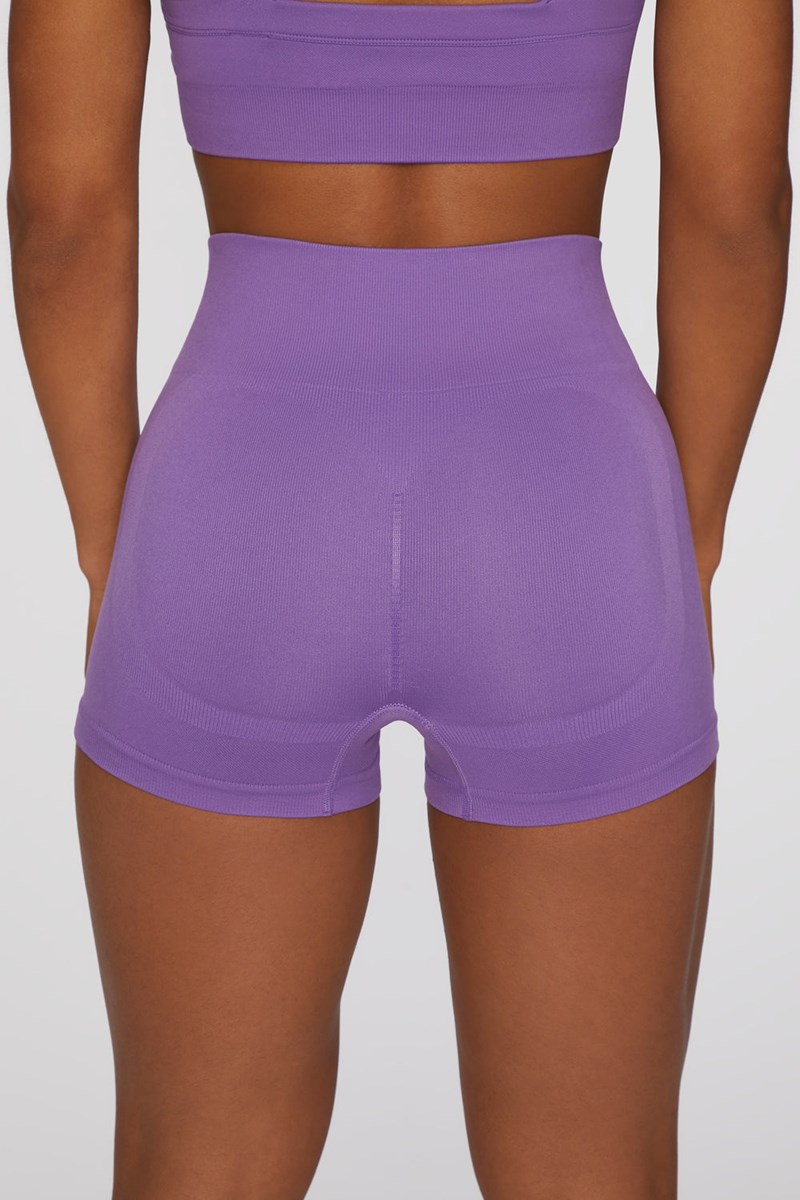 Bo+Tee Take Action Seamless High Waisted Mini Shorts Moradas | JAHM78640